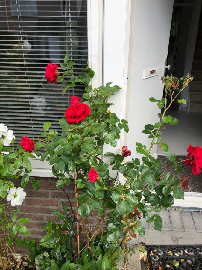 Vakantiewoning In Middelburg Zeeland Ngoại thất bức ảnh